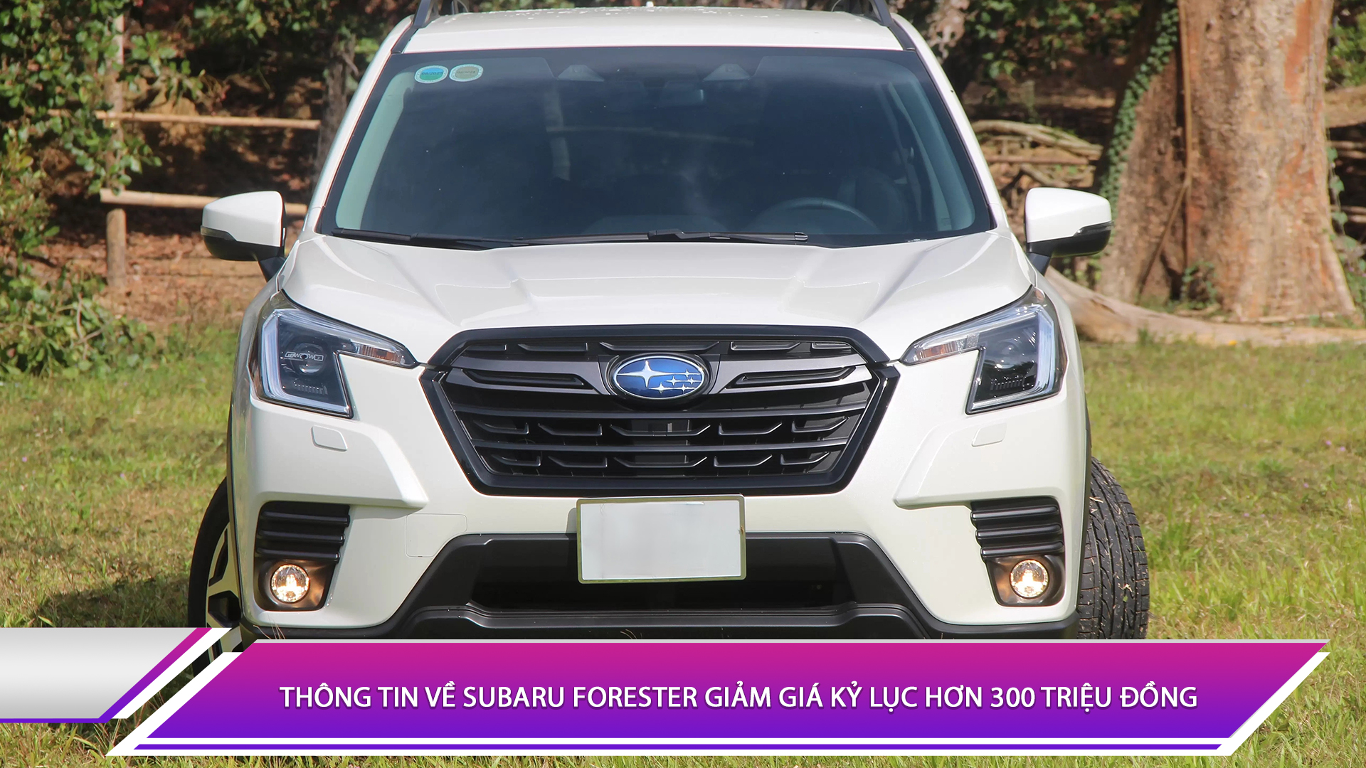 Thông tin về Subaru Forester giảm giá kỷ lục hơn 300 triệu đồng